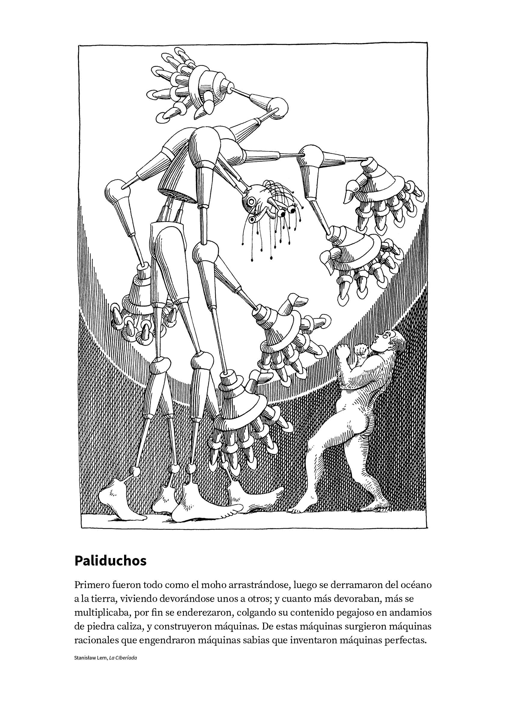 illustrations6