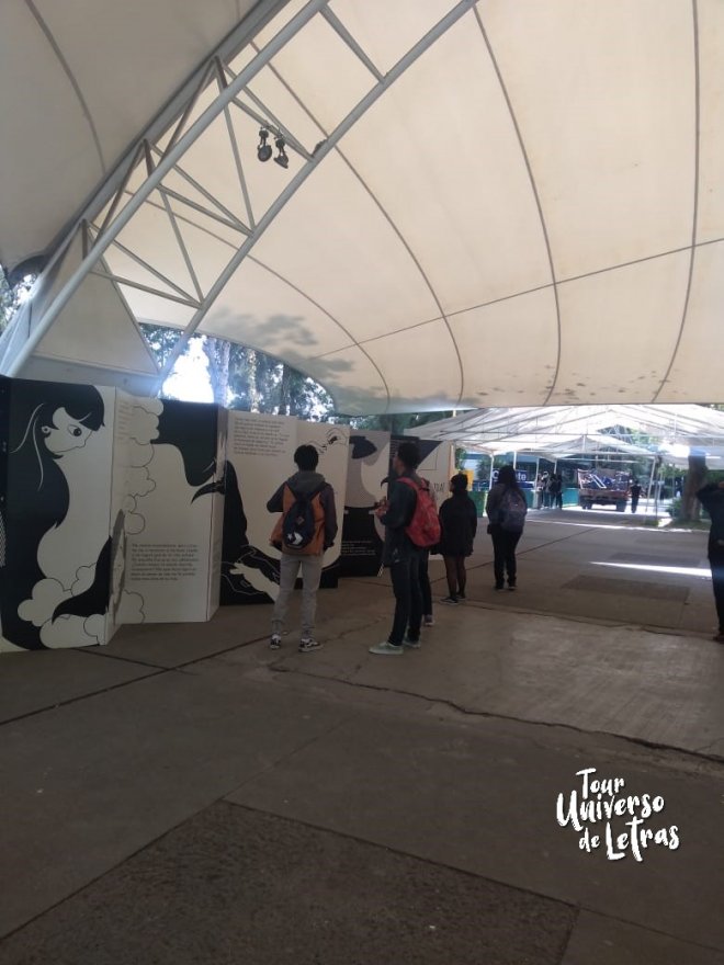 Exposición 2