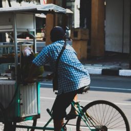 pexels-hobi-industri-1626307-scaled-thegem-blog-default