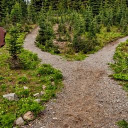pexels-james-wheeler-1578750-scaled-thegem-blog-default
