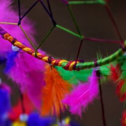 pexels-nandhu-kumar-3730860-1-scaled-thegem-blog-default