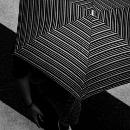 pexels-sami-anas-5641953-scaled-thegem-blog-default