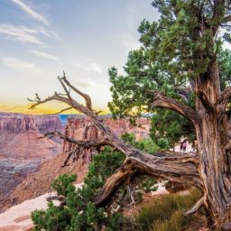 pexels-shahid-tanweer-1365109-scaled-thegem-blog-default