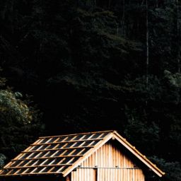 cabin-4792470_1920-thegem-blog-default