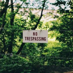 pexels-adamlowly-5042833-scaled-thegem-blog-default
