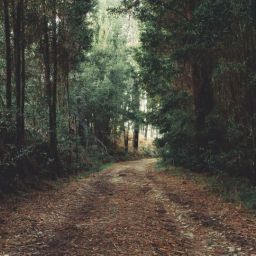 pexels-ave-calvar-martinez-3250913-scaled-thegem-blog-default
