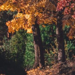 pexels-dariusz-grosa-1533057-scaled-thegem-blog-default