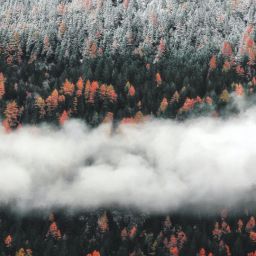 pexels-eberhard-grossgasteiger-691571-scaled-thegem-blog-default