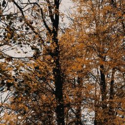 pexels-ivana-brooks-3227735-scaled-thegem-blog-default