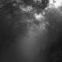 pexels-lucas-pezeta-2219429-scaled-thegem-blog-default