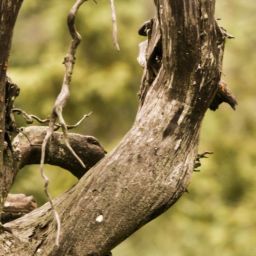 pexels-max-vakhtbovych-6266066-scaled-thegem-blog-default