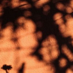 pexels-ozundunyasina-8024244-scaled-thegem-blog-default