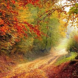 road-1072823_1920-thegem-blog-default