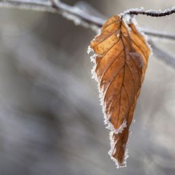 snow-2582719_1920-thegem-blog-default