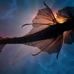 mermaid-g04a9a4f34_1920-thegem-blog-default