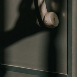pexels-roman-ska-7096339-scaled-thegem-blog-default