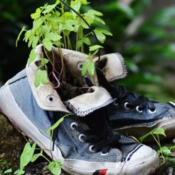 shoes-gd710555e9_1920-thegem-blog-default