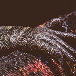 pexels-francesco-ungaro-2289759-scaled-thegem-blog-default