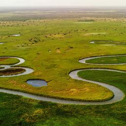 okavango-delta-5158380_960_720