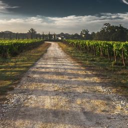 road-428039_960_720-thegem-blog-default