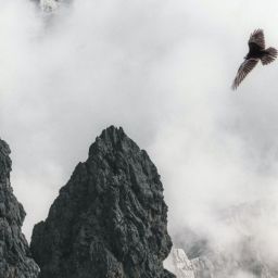 pexels-eberhard-grossgasteiger-1699025-scaled-thegem-blog-default
