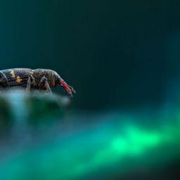 pexels-erik-karits-10389994-scaled-thegem-blog-default (1)