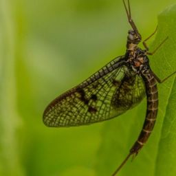 pexels-erik-karits-9496097-scaled-thegem-blog-default