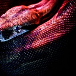 pexels-jan-kopriva-3280908-scaled-thegem-blog-default