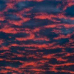 pexels-marek-piwnicki-11829480-scaled-thegem-blog-default