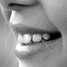 pexels-pixabay-65665-scaled-thegem-blog-default