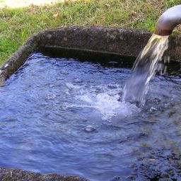 water-trough-gd4dc03d71_1920-thegem-blog-default