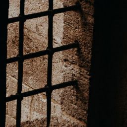 pexels-baris-turkoz-14265347-scaled-thegem-blog-default