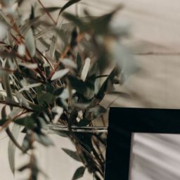 pexels-cottonbro-studio-4068292-scaled-thegem-blog-default
