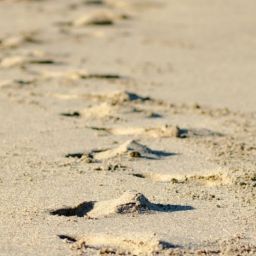 pexels-lauren-hedges-10906969-scaled-thegem-blog-default