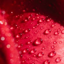 pexels-michelle-leman-6765808-scaled-thegem-blog-default