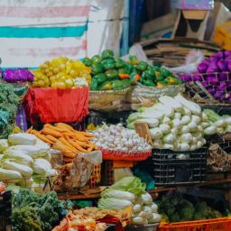 pexels-min-an-1093837-scaled-thegem-blog-default