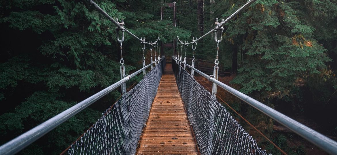 pexels-jacob-colvin-1761279-scaled-thegem-blog-default
