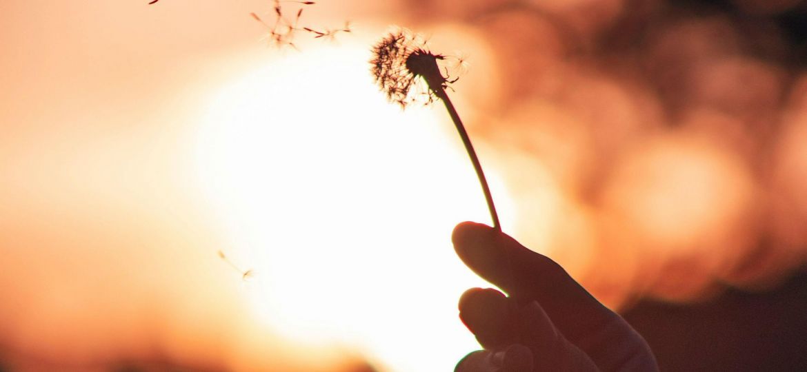 pexels-thevibrantmachine-2980635-scaled-thegem-blog-default