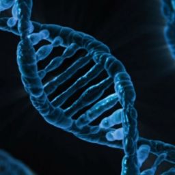 dna-163466_1920-thegem-blog-default