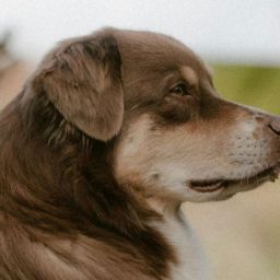 pexels-andreas-246992646-19967971-scaled-thegem-blog-default