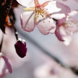 pexels-eva-bronzini-6262670-scaled-thegem-blog-default
