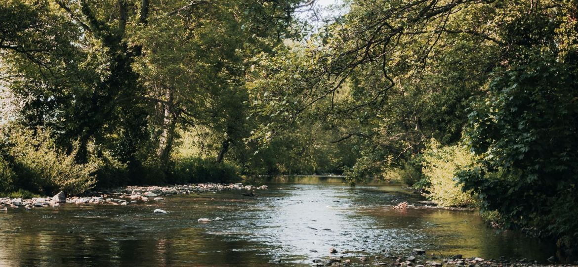 pexels-fotios-photos-16920545-scaled-thegem-blog-default