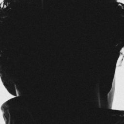 pexels-imvitordiniz-20208593-scaled-thegem-blog-default