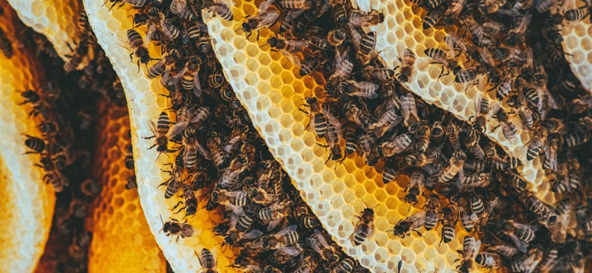 pexels-ionelceban-3194327-scaled-thegem-blog-default