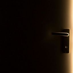 pexels-lanophotography-147634-scaled-thegem-blog-default