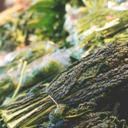 pexels-lum3n-44775-319798-scaled-thegem-blog-default