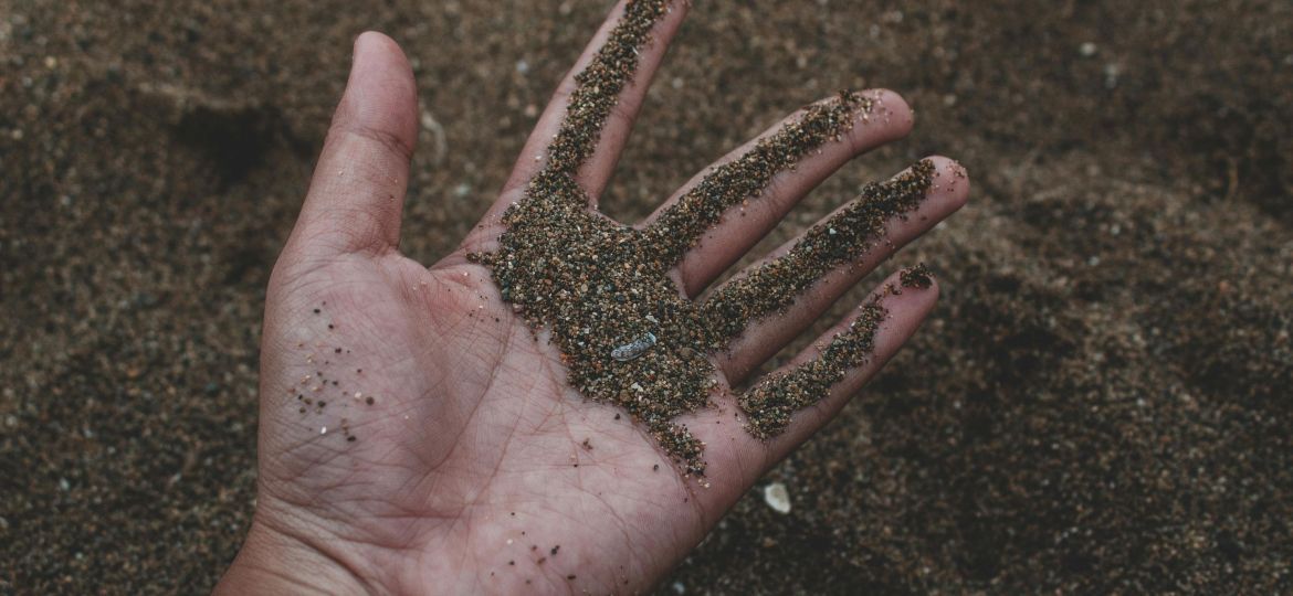 pexels-muffin-2203685-scaled-thegem-blog-default