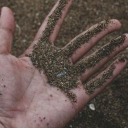 pexels-muffin-2203685-scaled-thegem-blog-default