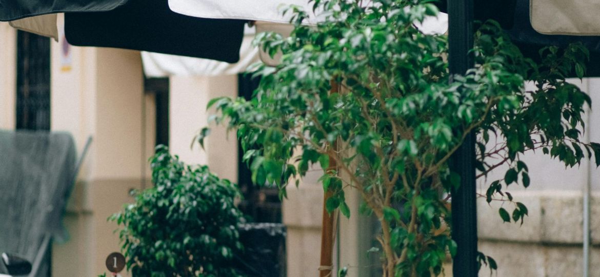 pexels-n-voitkevich-5352666-scaled-thegem-blog-default