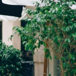pexels-n-voitkevich-5352666-scaled-thegem-blog-default